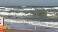  فيديو: رغم الأجواء الباردة والرياح - فتاتان تمارسان رياضة الركمجة على شاطئ بحر يافا 